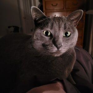 Meet your Posher, Cheryl